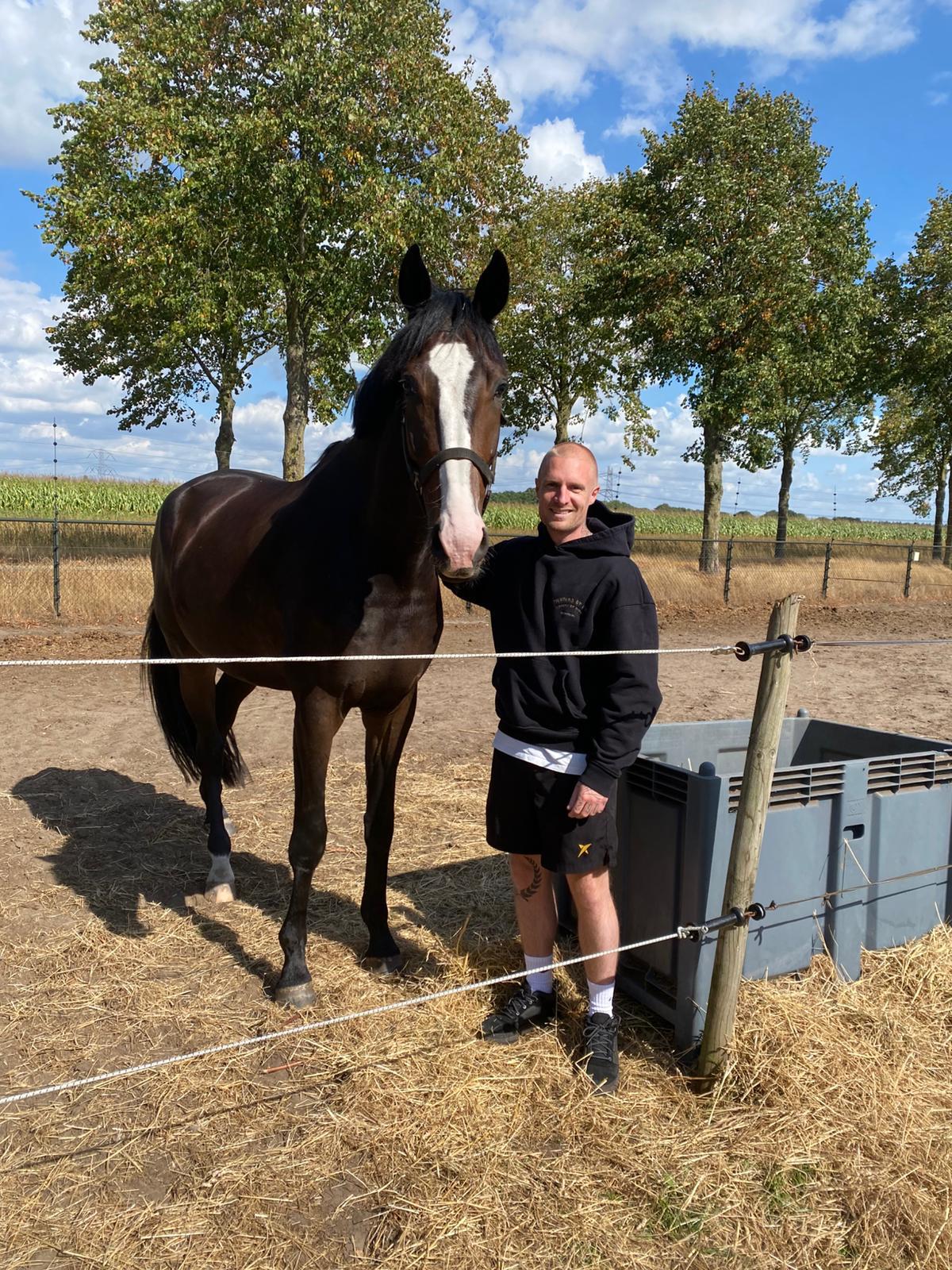 Tommy Raijmakers Paard & Coaching