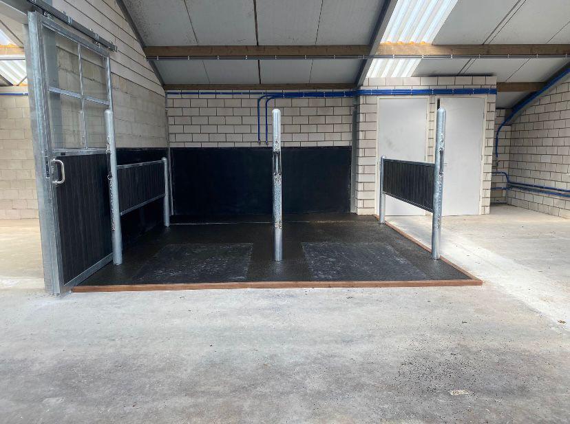 WhatsApp Image 2025-10-18 at 10.18.21 (1)