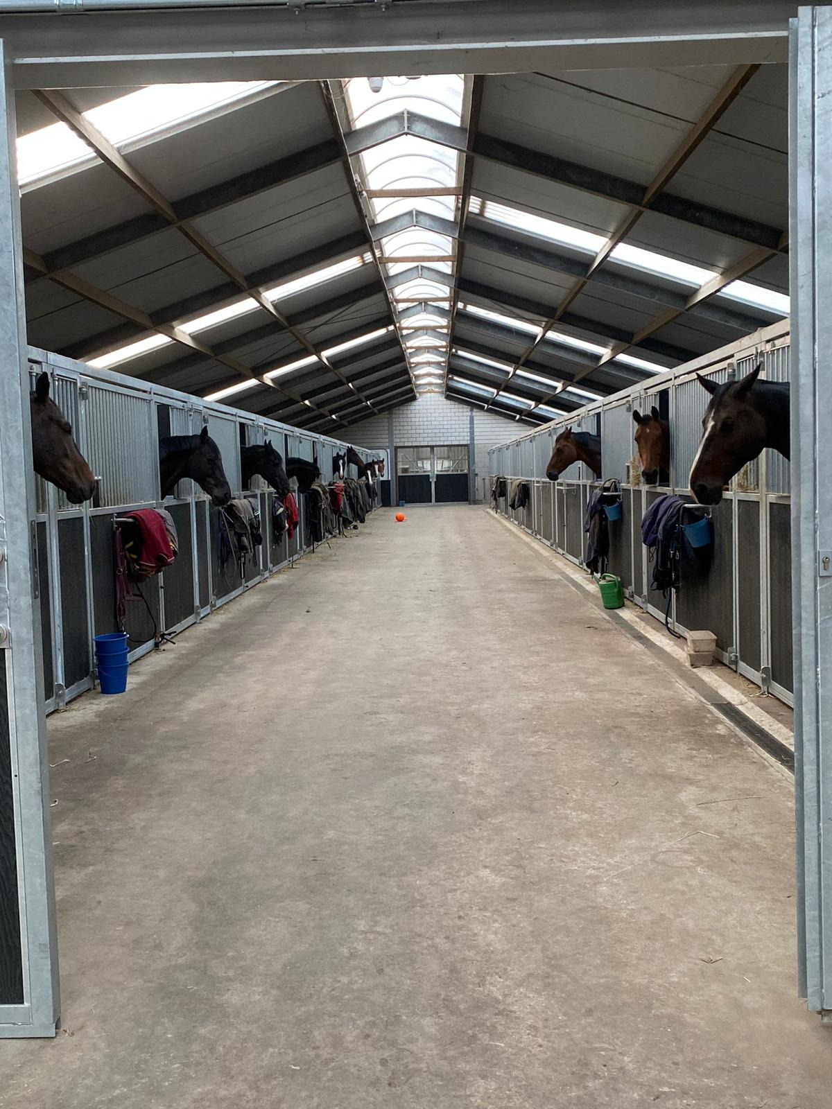 WhatsApp Image 2025-10-18 at 10.18.21 (3)