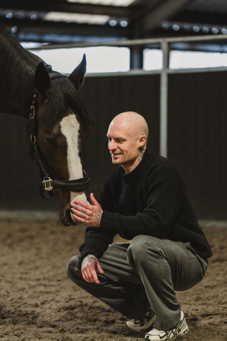 Paard en coaching