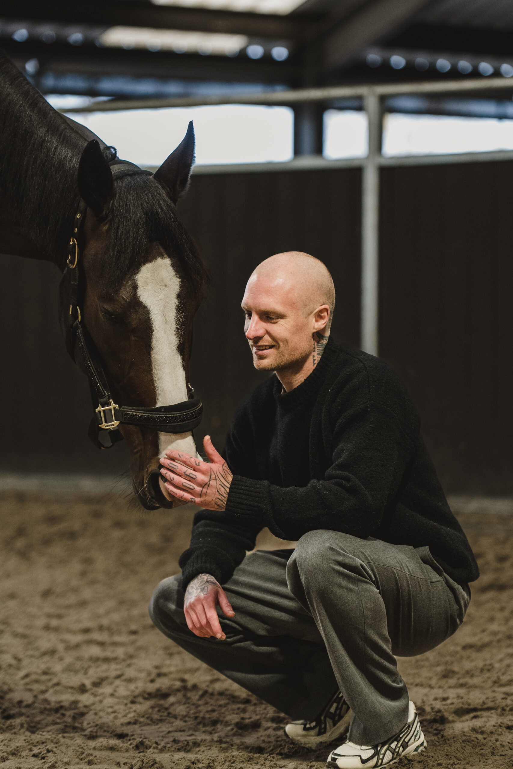 Paardencoaching