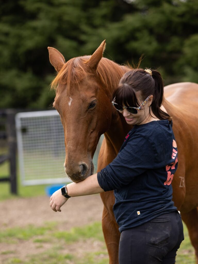 Paardencoaching: contact maken met het paard